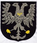 Friedrich-von-Saarwerden wappen